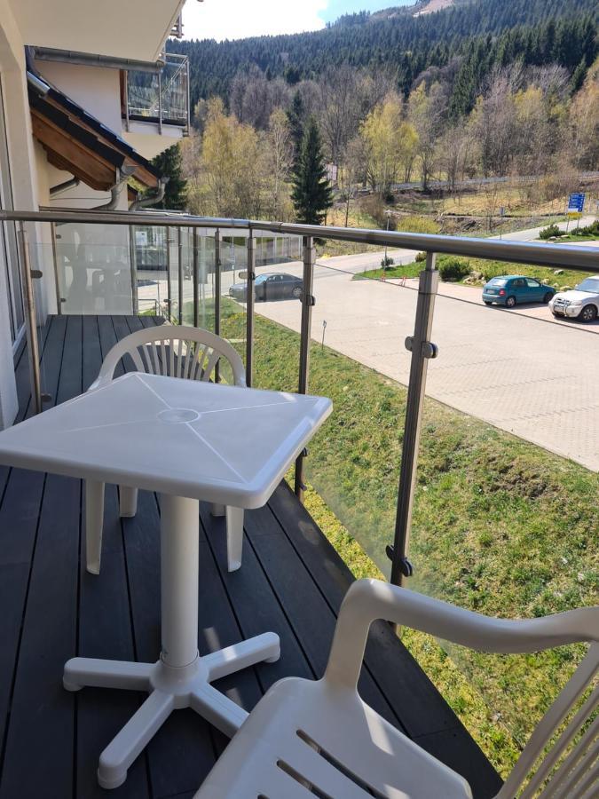 Apartment Czarna Gora S26 Sienna (Klodzko)